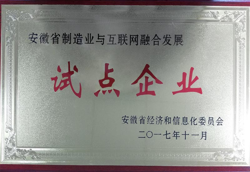 安徽省制造业与互联网试点企业